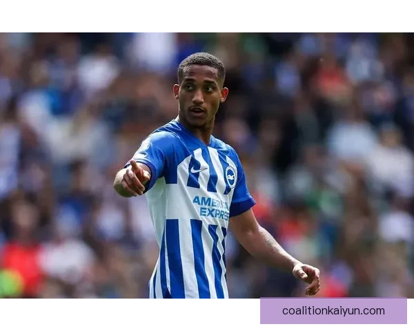 布伦特福德反击效率持续提升，近期赛事表现值得关注